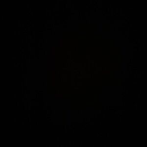 Meet your Posher, Zoey